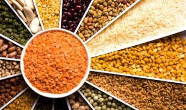 विश्व बैंक का अनुमान- 2026 में कमोडिटी की कीमतों में गिरावट और बढ़ेगी; भारत में भी महंगाई से राहत लेकिन किसानों के लिए जोखिम