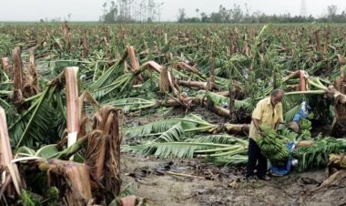 वैश्विक कृषि को आपदाओं से तीन दशक में 3.26 ट्रिलियन डॉलर का नुकसान; FAO ने डिजिटल तकनीक को बताया प्रमुख समाधान