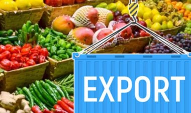 कृषि उत्पादों को अमेरिका में रेसिप्रोकल टैरिफ से छूट का भारत को सीमित लाभ