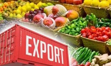 केंद्रीय बजट 2026–27: भारत के कृषि निर्यात के लिए संकेत