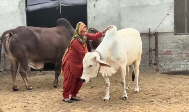 राष्ट्रीय गोपाल रत्न पुरस्कार-2025 की घोषणा, विजेताओं को 26 नवंबर को मिलेगा सम्मान