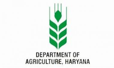 हरियाणा में समूह प्रदर्शन, प्रमाणित बीज वितरण के लिए अनुदान, इच्छुक किसान कर सकते हैं आवेदन
