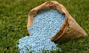 FAO Outlook: दुनिया में उर्वरकों के इस्तेमाल में तेजी से वृद्धि, कीमतों में उतार-चढ़ाव जारी
