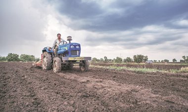 रबी फसलों की बुवाई में तेजी, कुल रकबा 306 लाख हेक्टेयर के पार पहुंचा