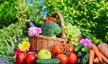 बागवानी क्षेत्रफल बढ़कर 294.88 लाख हेक्टेयर और उत्पादन 36.90 करोड़ टन तक पहुंचा, फल–सब्जियों के उत्पादन में वृद्धि