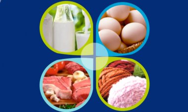 भारत के दूध, मांस और अंडा उत्पादन में निरंतर वृद्धि, अर्थव्यवस्था को मजबूती दे रहा पशुधन क्षेत्र