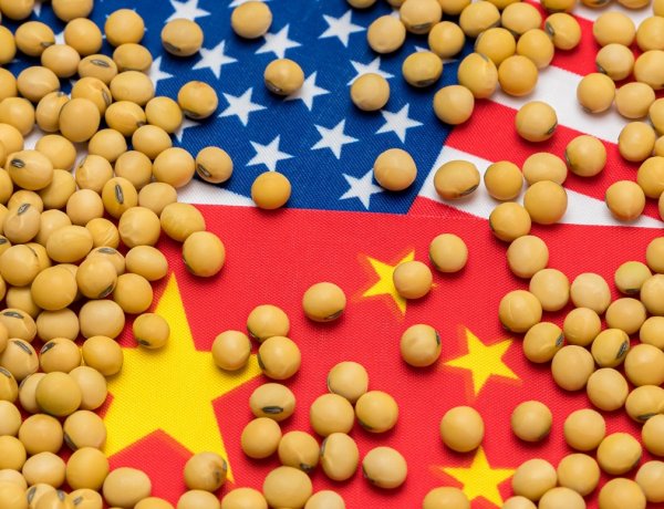 बांग्लादेश अगले साल अमेरिका से 1.25 अरब डॉलर सोयाबीन का करेगा आयात