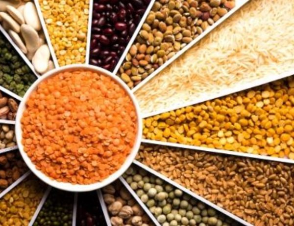 विश्व बैंक का अनुमान: 2026 में कमोडिटी की कीमतों में गिरावट और बढ़ेगी; महंगाई से राहत लेकिन किसानों के लिए जोखिम