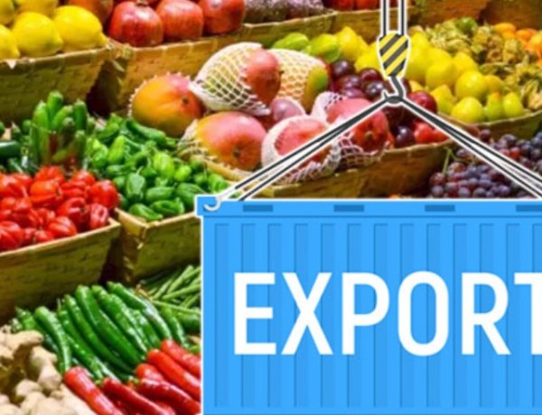 कृषि उत्पादों को अमेरिका में रेसिप्रोकल टैरिफ से छूट का भारत को सीमित लाभ