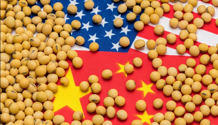 बांग्लादेश अगले साल अमेरिका से 1.25 अरब डॉलर सोयाबीन का करेगा आयात