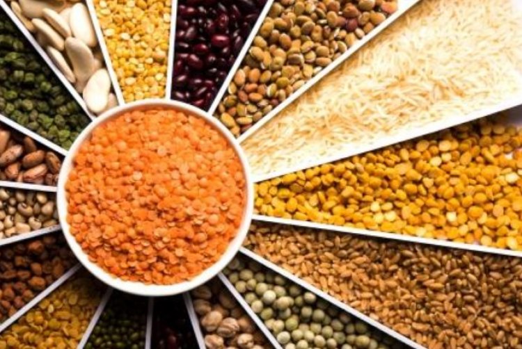 विश्व बैंक का अनुमान- 2026 में कमोडिटी की कीमतों में गिरावट और बढ़ेगी; भारत में भी महंगाई से राहत लेकिन किसानों के लिए जोखिम