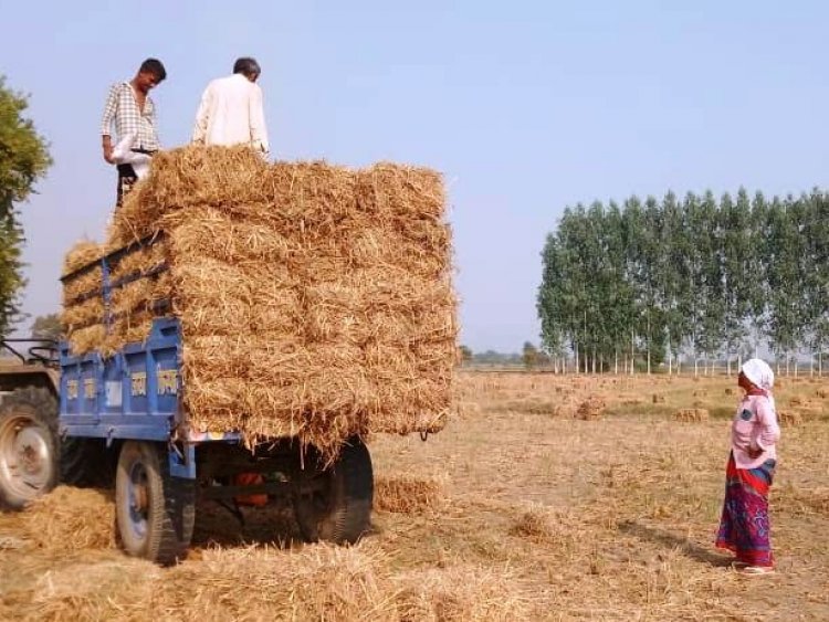 पराली बनी हरियाणा की नई इंडस्ट्री, देश के लिए मिसाल: श्याम सिंह राणा