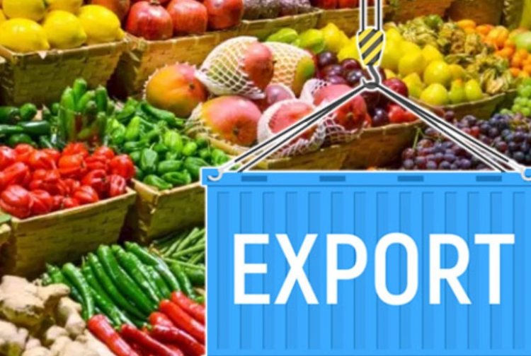 कृषि उत्पादों को अमेरिका में रेसिप्रोकल टैरिफ से छूट का भारत को सीमित लाभ