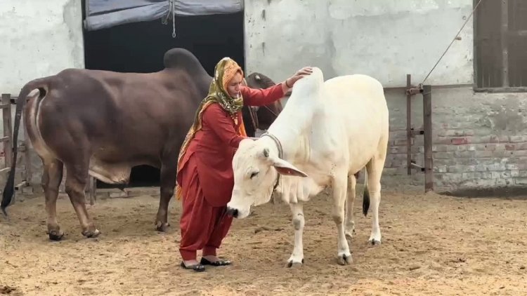 राष्ट्रीय गोपाल रत्न पुरस्कार-2025 की घोषणा, विजेताओं को 26 नवंबर को मिलेगा सम्मान