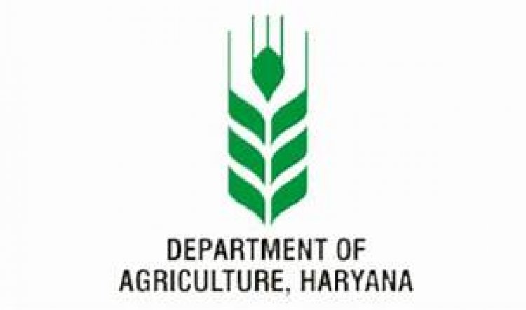 हरियाणा में समूह प्रदर्शन, प्रमाणित बीज वितरण  के लिए अनुदान, इच्छुक किसान कर सकते हैं आवेदन