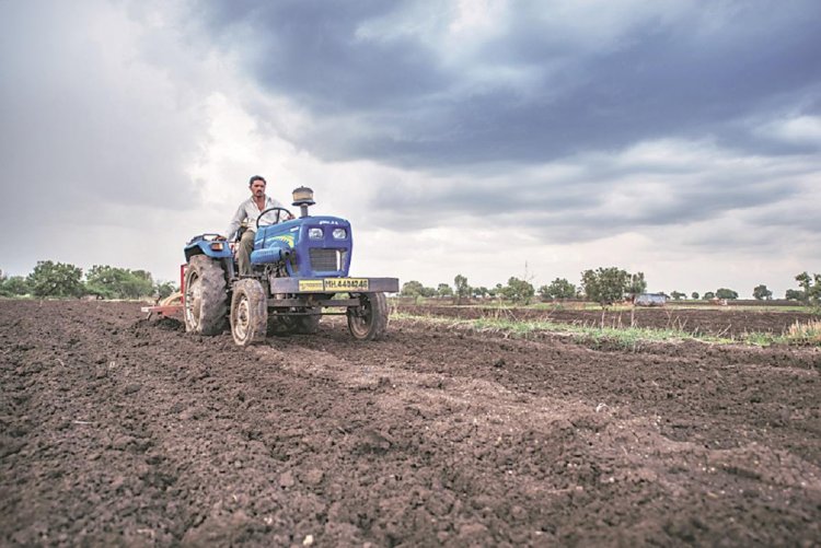 रबी फसलों की बुवाई में तेजी, कुल रकबा 306 लाख हेक्टेयर के पार पहुंचा