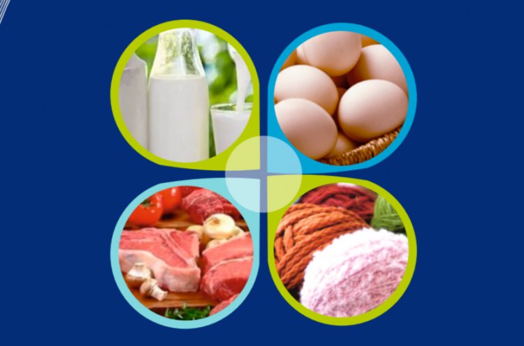 भारत के दूध, मांस और अंडा उत्पादन में निरंतर वृद्धि, अर्थव्यवस्था को मजबूती दे रहा पशुधन क्षेत्र