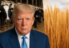 ट्रंप प्रशासन की तरफ से अमेरिकी किसानों के लिए बड़ी राहत, फसल और डेयरी क्षेत्र के लिए पैकेज की घोषणा