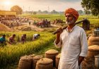 2025 में कृषि: महंगाई पर काबू, रिकॉर्ड उत्पादन लेकिन किसानों की आय पर संकट