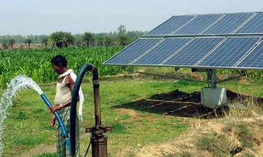 संसदीय समिति ने पीएम कुसुम और पीएम सूर्य घर योजना के अमल पर उठाए सवाल, कहा- किसानों को नहीं मिल रहा पूरा लाभ