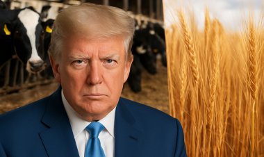 ट्रंप प्रशासन की तरफ से अमेरिकी किसानों के लिए बड़ी राहत, फसल और डेयरी क्षेत्र के लिए पैकेज की घोषणा