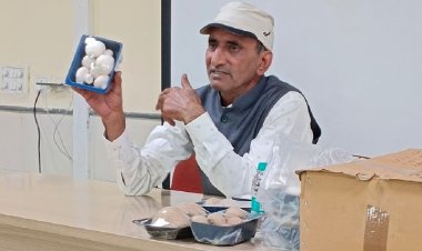मशरूम का गणित बिगाड़ रहा प्रदूषण, दिल्ली-NCR में खेती से लेकर बाजार तक की चुनौतियां
