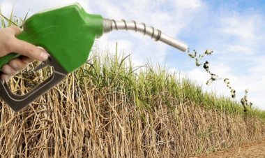 किसानों को लुभाने में क्यों नाकाम हो रही एथेनॉल नीति?