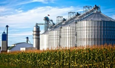 एथेनॉल को टिकाऊ समुद्री ईंधन के रूप में बढ़ावा देने के लिए IFGE और ग्लोबल एथेनॉल एसोसिएशन के बीच समझौता