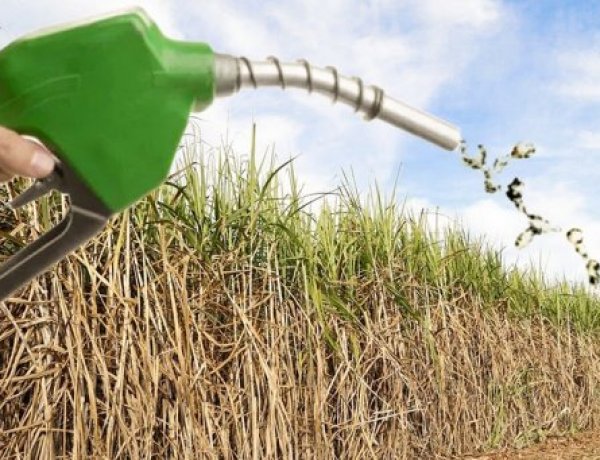 किसानों में उत्साह जगाने में क्यों नाकाम रही एथेनॉल नीति?
