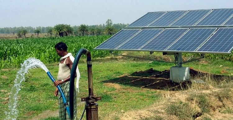 संसदीय समिति ने पीएम कुसुम और पीएम सूर्य घर योजना के अमल पर उठाए सवाल, कहा- किसानों को नहीं मिल रहा पूरा लाभ