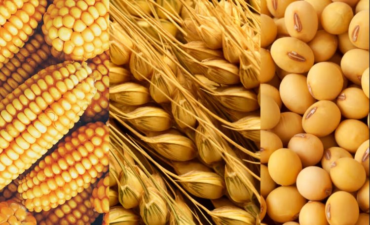 अमेरिका के CoBank का अनुमान- कमोडिटी कीमतें निचले स्तर को छू चुकी हैं, अब बढ़ सकते हैं दाम