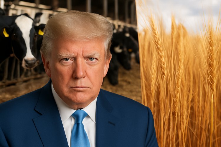 ट्रंप प्रशासन की तरफ से अमेरिकी किसानों के लिए बड़ी राहत, फसल और डेयरी क्षेत्र के लिए पैकेज की घोषणा