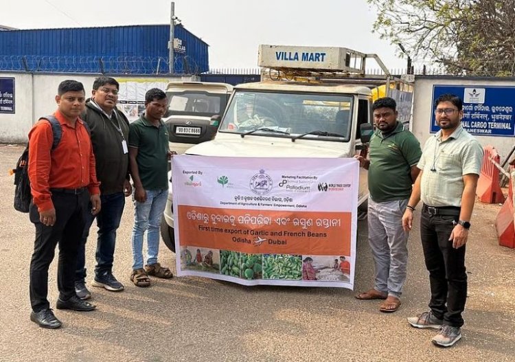 ओडिशा के किसानों से दुबई तक पहुंची ताज़ा सब्जियों की पहली खेप, कृषि निर्यात को बढ़ावा
