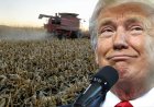 अमेरिकी सरकार किसानों को देगी 12 अरब डॉलर का कृषि सहायता पैकेज, चावल और कपास के लिए सबसे ज्यादा मदद