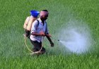 सरकार ने कीटनाशक विधेयक का मसौदा जारी किया, जनता से मांगे सुझाव