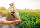 कृषि और ग्रामीण अर्थव्यवस्था पर केंद्रित हो बजट 2026, उद्योग जगत ने दिए सुझाव