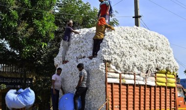 ड्यूटी-फ्री कपास आयात की समय-सीमा खत्म, 1 जनवरी से 11 प्रतिशत शुल्क लागू