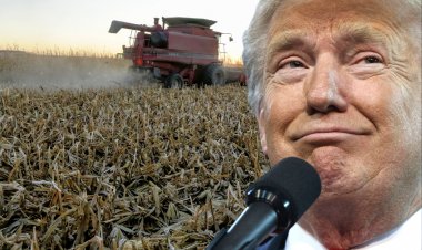 अमेरिकी सरकार किसानों को देगी 12 अरब डॉलर का कृषि सहायता पैकेज, चावल और कपास के लिए सबसे ज्यादा मदद