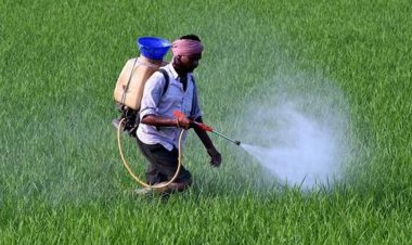 सरकार ने कीटनाशक विधेयक का मसौदा जारी किया, जनता से मांगे सुझाव