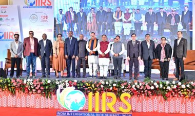 छत्तीसगढ़ में चावल निर्यातकों को मंडी शुल्क से छूट एक वर्ष के लिए बढ़ी