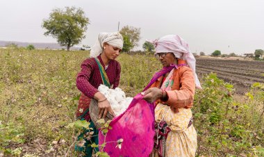 बजट 2026: कृषि के बेहतर भविष्य के लिए तात्कालिक राहत और दीर्घकालिक सुधारों का संतुलित समावेश जरूरी