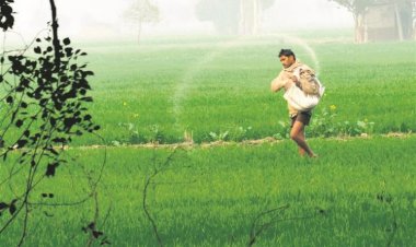 आर्थिक सर्वे में कृषि सुधारों की वकालत, उर्वरक असंतुलन पर चिंता, यूरिया के दाम बढ़ाने का सुझाव