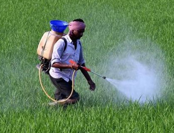 ईरान युद्ध से वैश्विक कृषि आपूर्ति श्रृंखला पर दबाव, उर्वरक, कीटनाशक और ईंधन महंगे होने से खाद्य महंगाई बढ़ने का खतरा