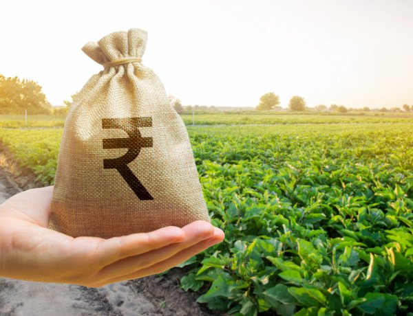 कृषि और ग्रामीण अर्थव्यवस्था पर केंद्रित हो बजट 2026, उद्योग जगत ने दिए सुझाव