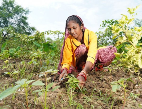 भारतीय कृषि में समावेशी विकास का मार्ग बन सकता है वेज कोड 2019