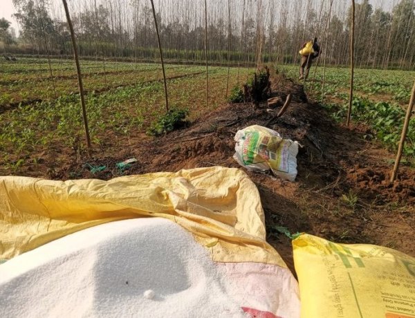 उर्वरक आत्मनिर्भरता पर बजट में हो सकता है विशेष मिशन का ऐलान