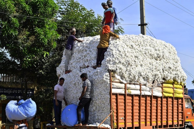 ड्यूटी-फ्री कपास आयात की समय-सीमा खत्म, 1 जनवरी से 11 प्रतिशत शुल्क लागू