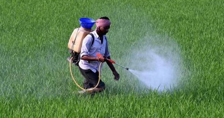 सरकार ने कीटनाशक विधेयक का मसौदा जारी किया, जनता से मांगे सुझाव