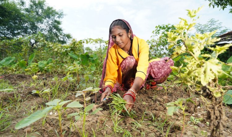 भारतीय कृषि में समावेशी विकास का मार्ग बन सकता है वेज कोड 2019