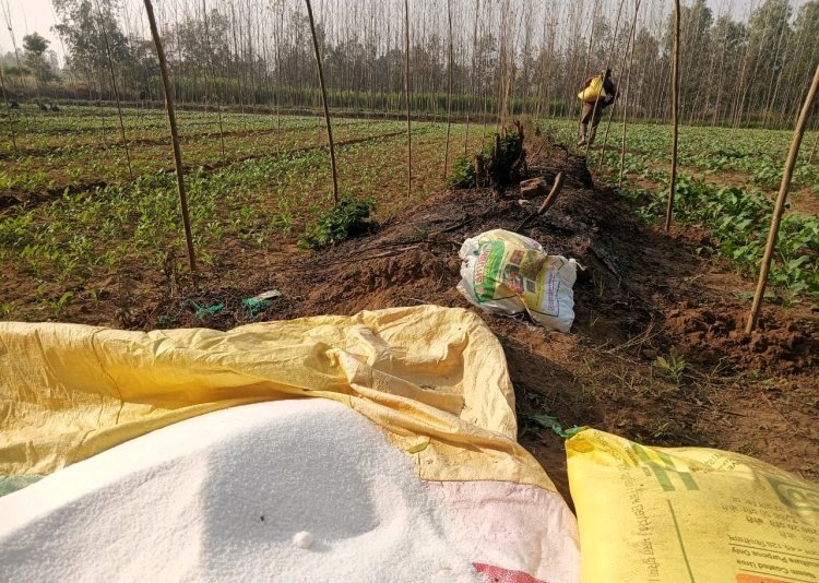 उर्वरक आत्मनिर्भरता पर बजट में हो सकता है विशेष मिशन का ऐलान